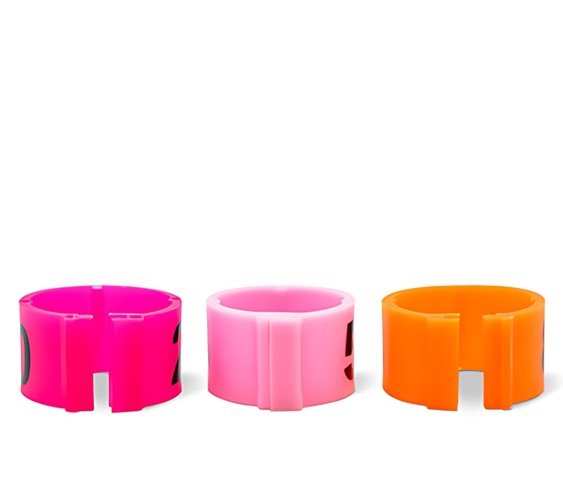 anillas clic identificacion de aves numeradas	