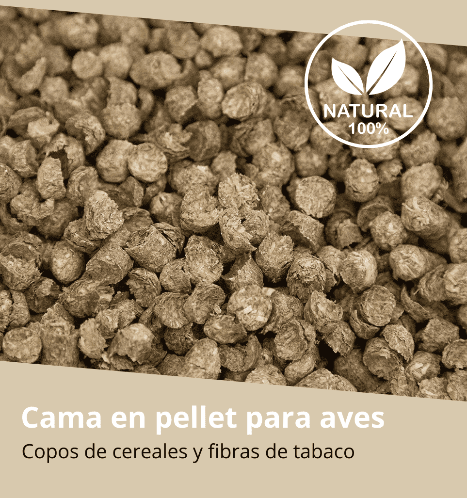 La nicotina del tabaco es un antiparasitario natural	