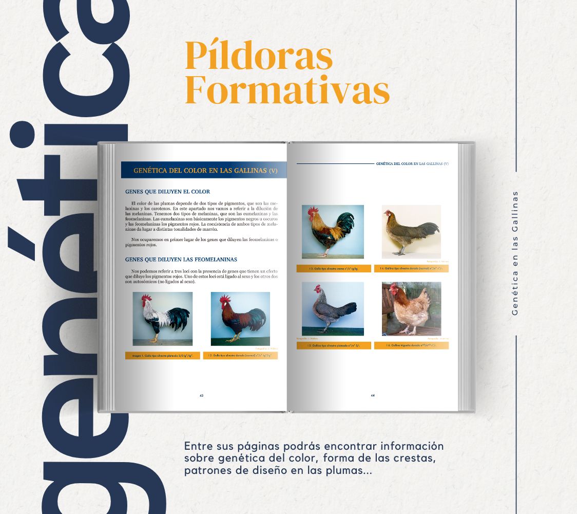 libro de genética en las gallinas	
