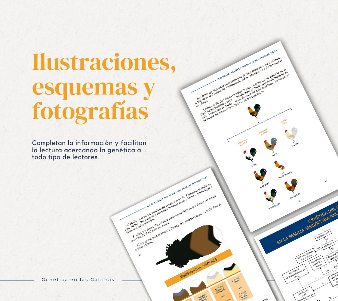 libro de genética en las gallinas	