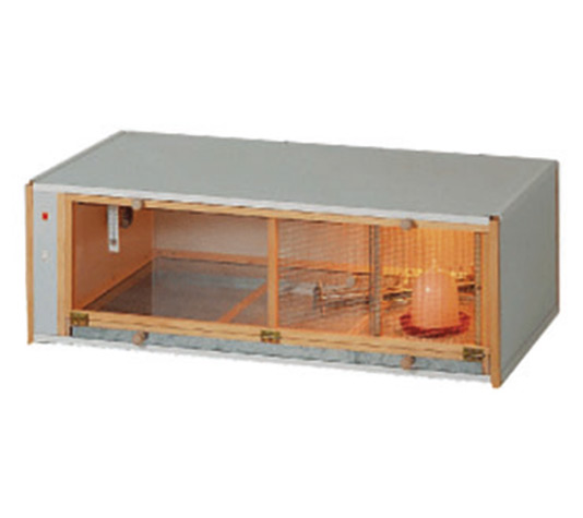 criadora para pollitos con calefacción