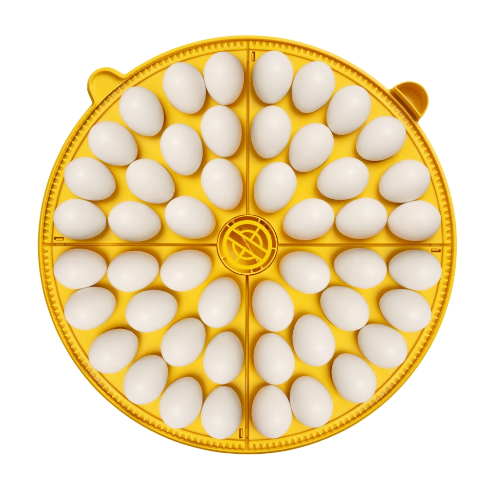 incubadora digital con volteo automático para 48 huevos de gallina