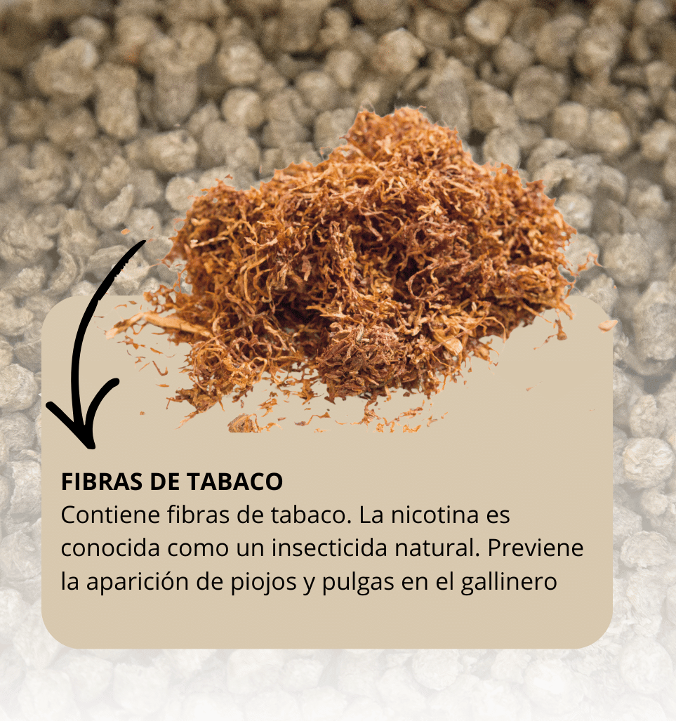 Previene la aparición de piojos y pulgas en el gallinero