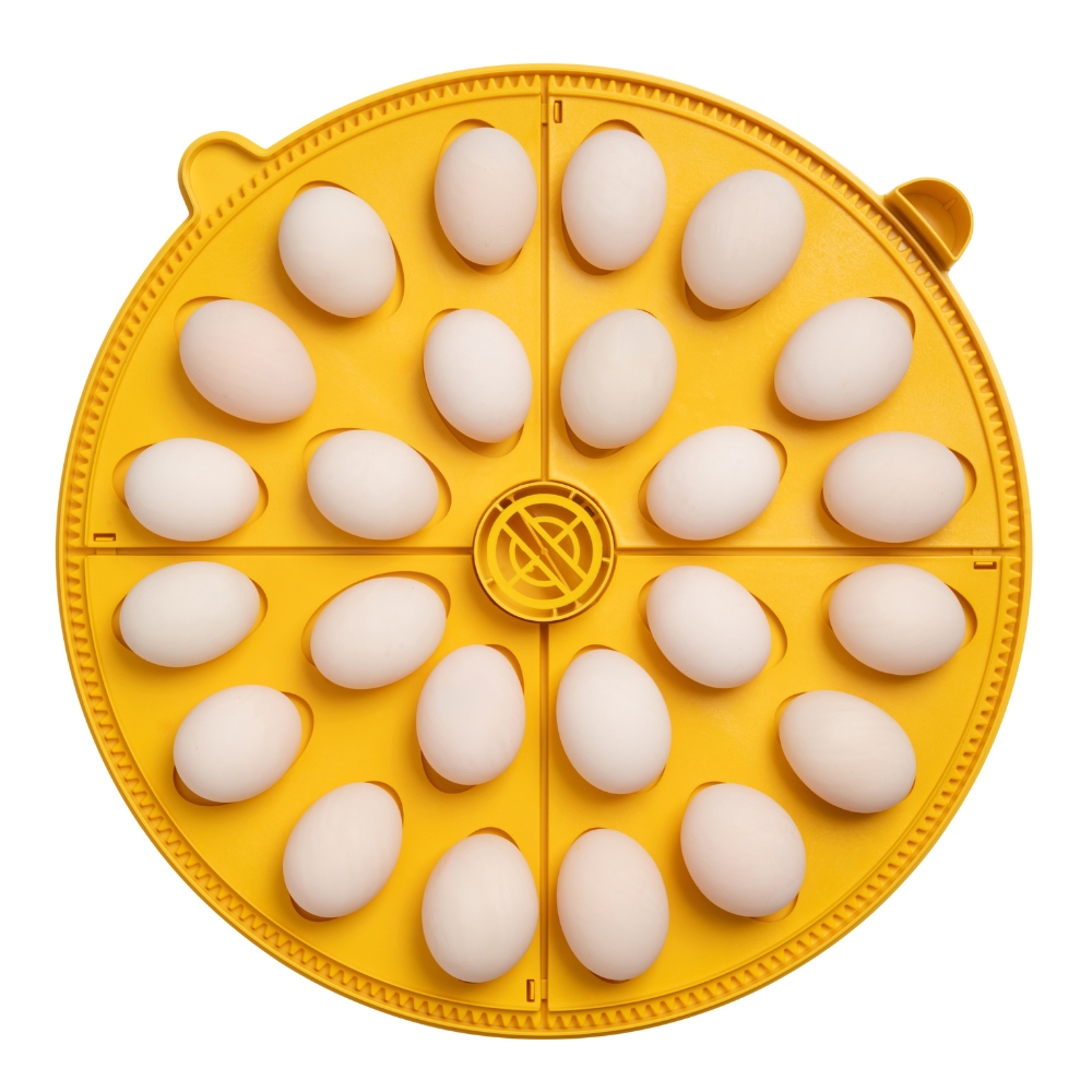 incubadora digital con volteo automático para 24 huevos de pato