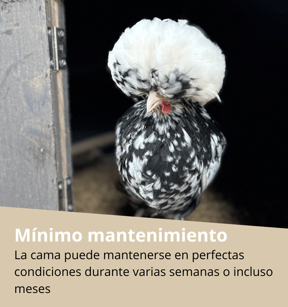 La cama puede mantenerse en perfectas condiciones durante semanas