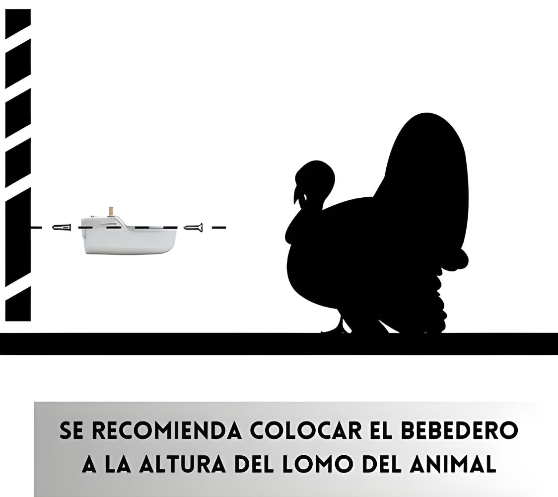 colocar bebedero a la altura del animal	