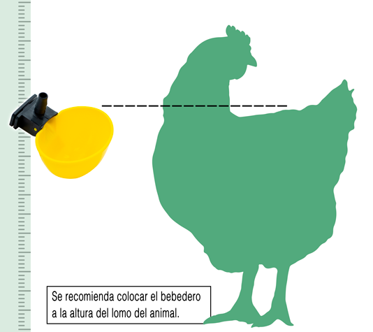 colocar el bebedero a la altura
