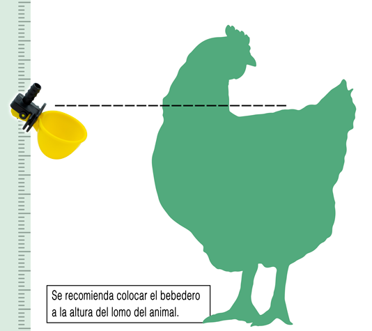 colocar el bebedero a la altura	