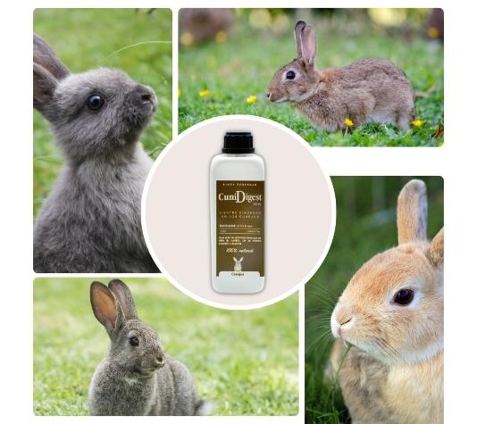 Producto contra el timpanismo en conejos