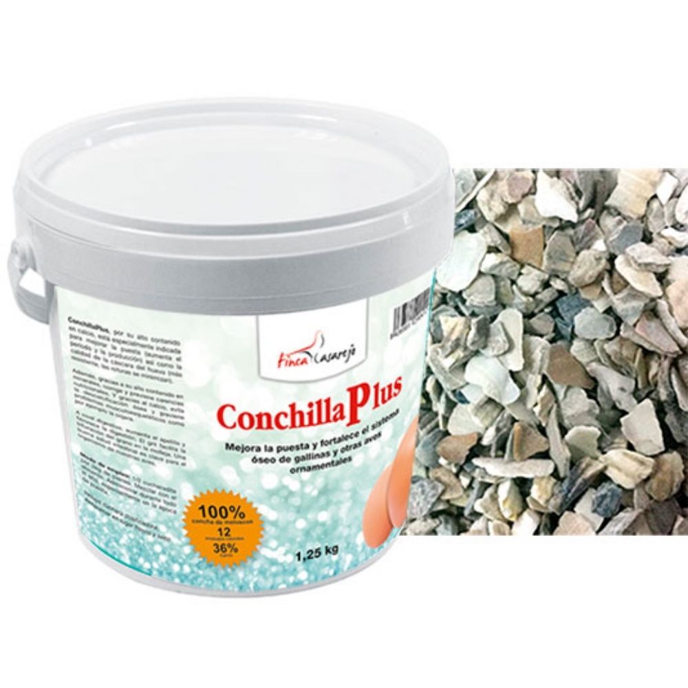 ConchillaPlus
