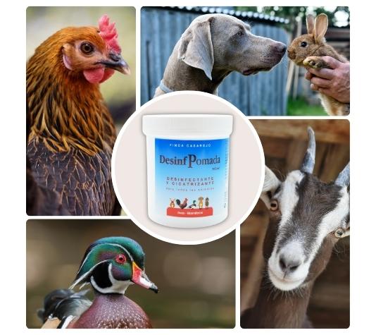 Cicatriza las heridas de los animales