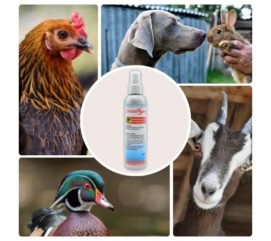 Desinfectante en spray para heridas de animales