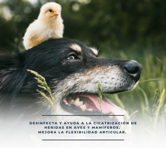 Desinfspray para las heridas de los animales