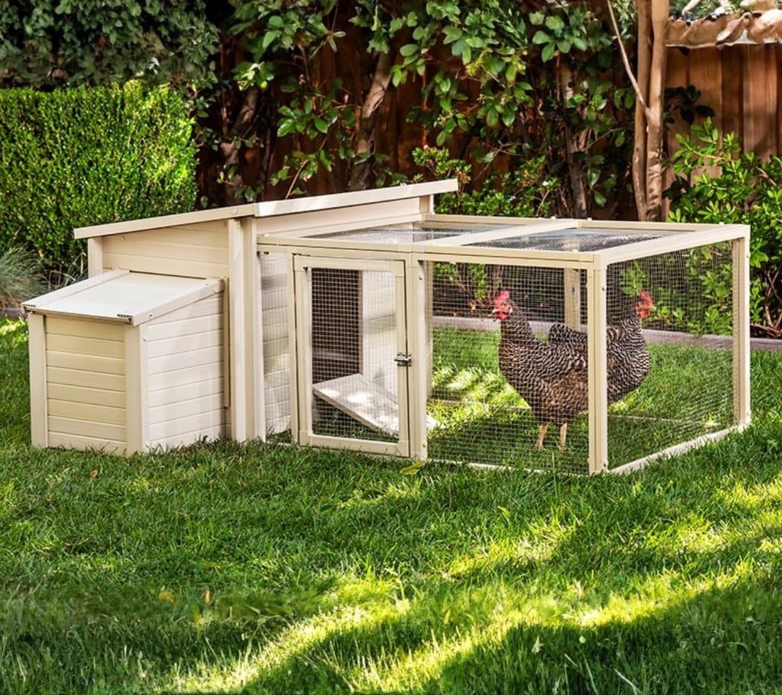 Gallinero Dallas con parque en color beige