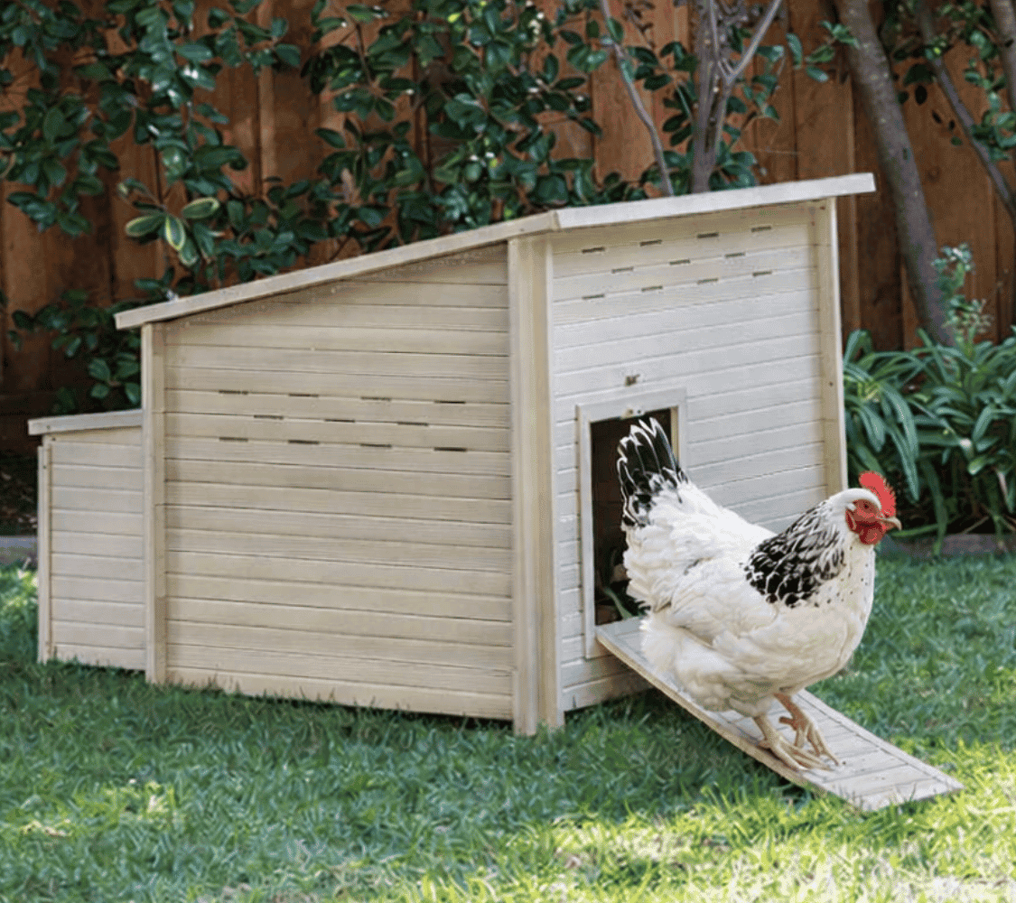 Gallinero Durango en color beige