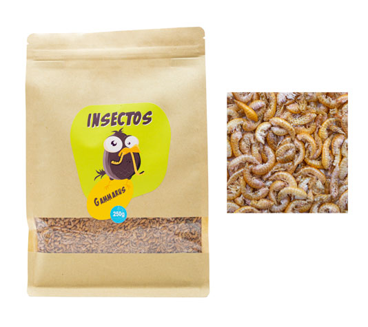insectos secos para alimentación animal