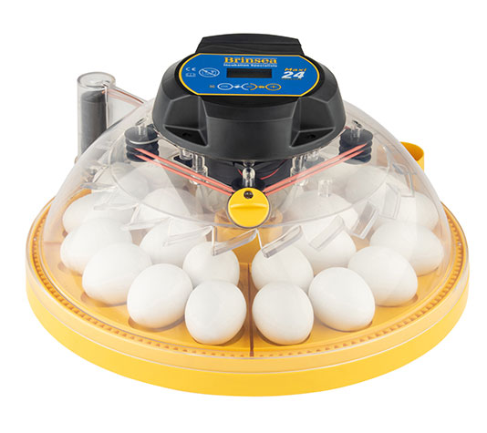 incubadora brinda maxi 24 advance