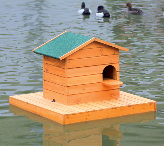 caseta flotante para patos