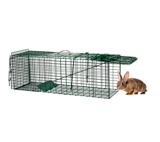 Jaula trampa para gatos, perros