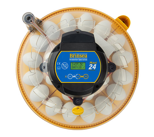 incubadora digital con volteo automático para 24 huevos de gallina