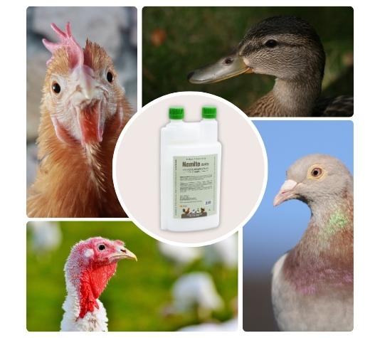 frente a los ácaros y parásitos de la piel