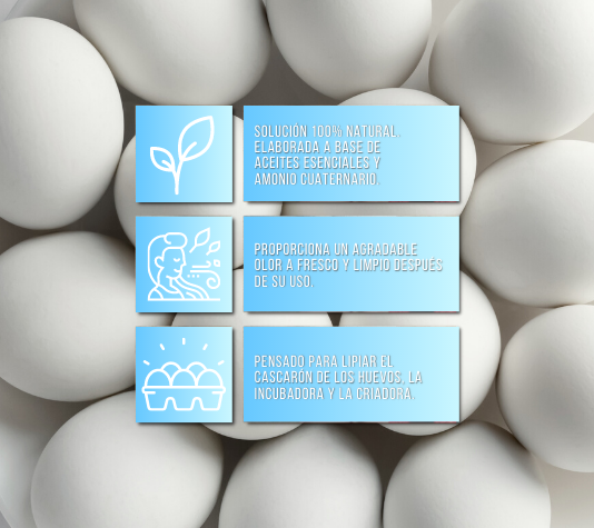 Limpiar huevos y material de incubación