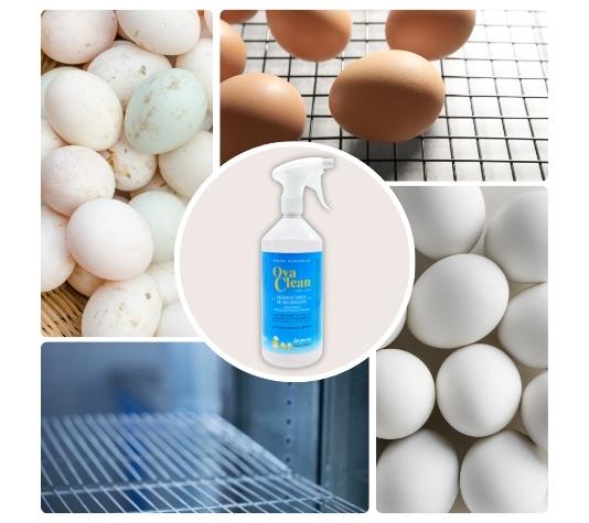 Desinfectar el material de incubación