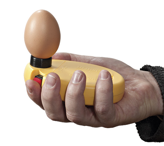 conocer si huevo está fecundado