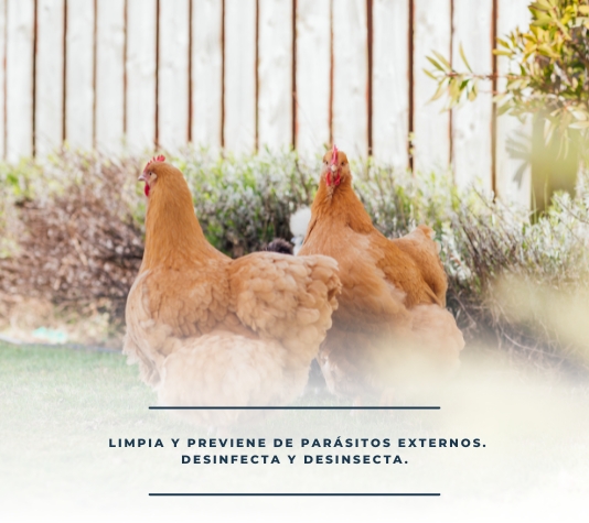 Pack Attack contra piojo de las gallinas, ácaros y otros parásitos externos