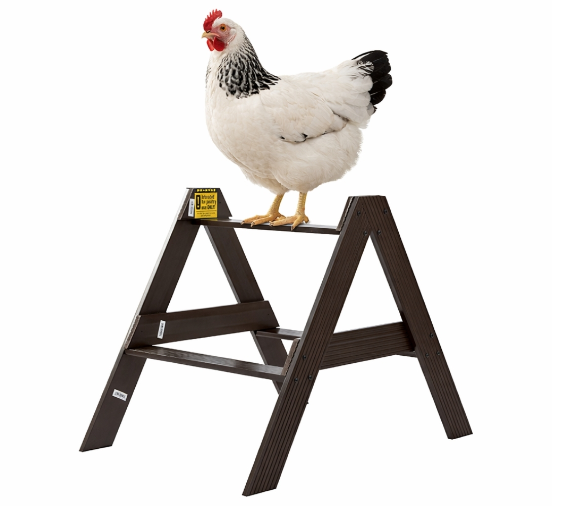 Percha simple para gallinero pequeña