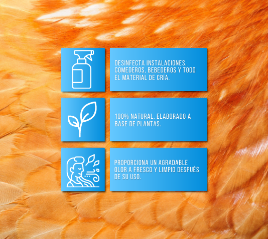Desinfectante para gallineros e instalaciones de animales