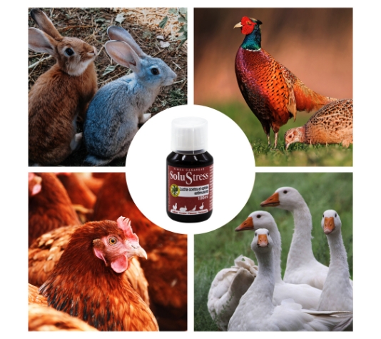 solución contra el estrés en animales