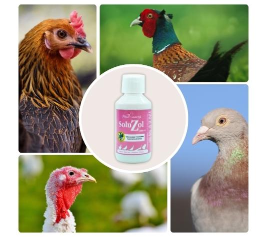 contra la histomoniasis y tricomoniasis