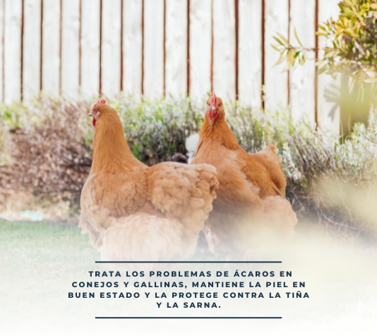 Tratamiento contra la sarna y las patas escamosas