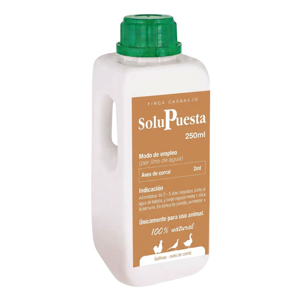 SoluPuesta