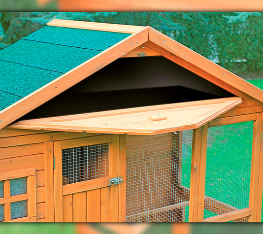 gallinero con zona de almacén	