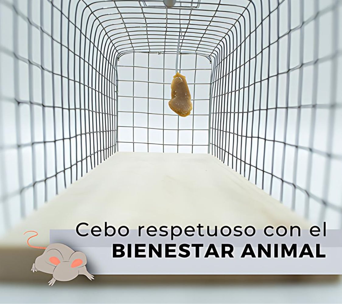 Atrayente para captura en vivo	