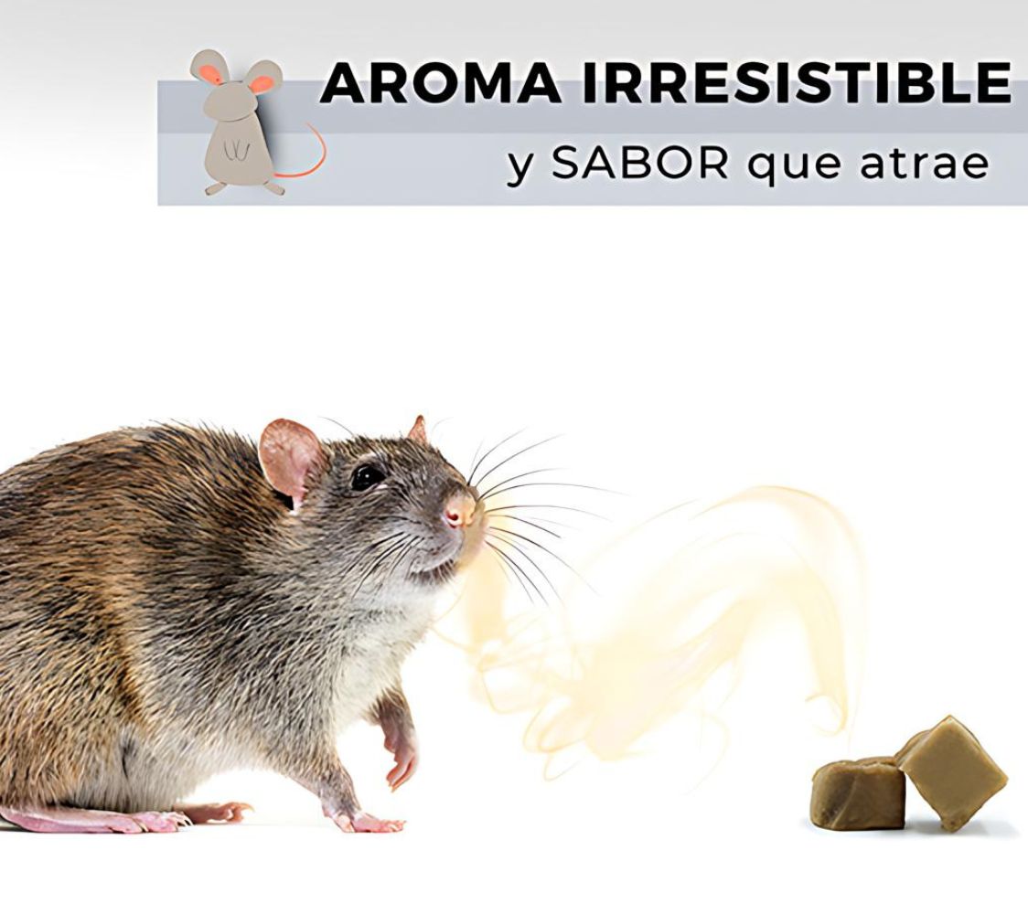 Cebo para ratas y ratones	