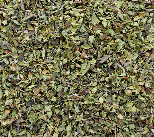 oregano