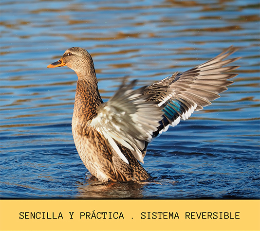 pinza evita vuelos pato