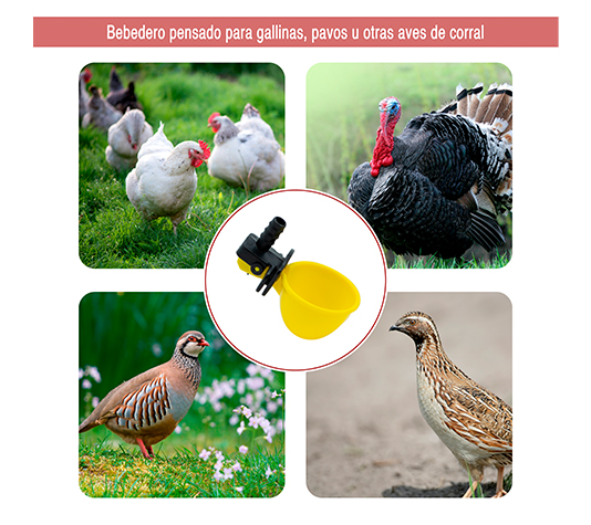 Bebedero basculante pequeño