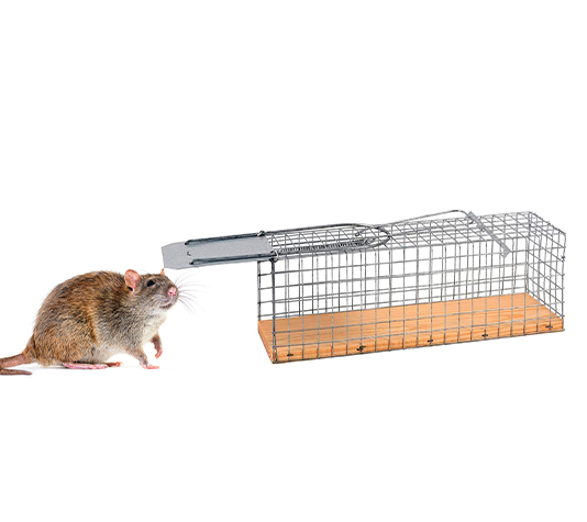 Trampa para ratas vivas