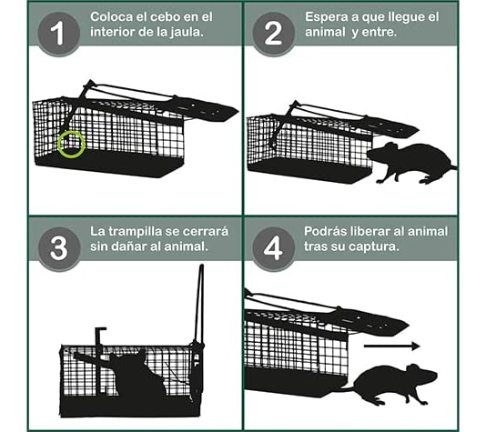 Trampa para captura en vivo