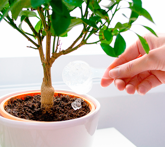 Bolitas de gel para plantas