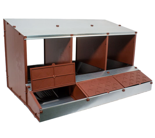 Ponedero San Antón, huevos siempre limpios