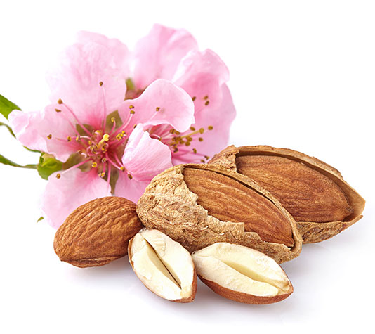 almendras comprar arbol