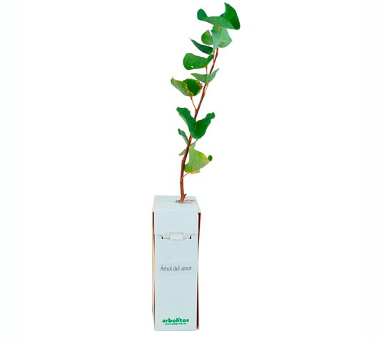 Árbol del amor ideal para regalo