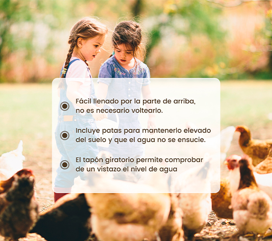 bebedero gallinas fácil de llenar