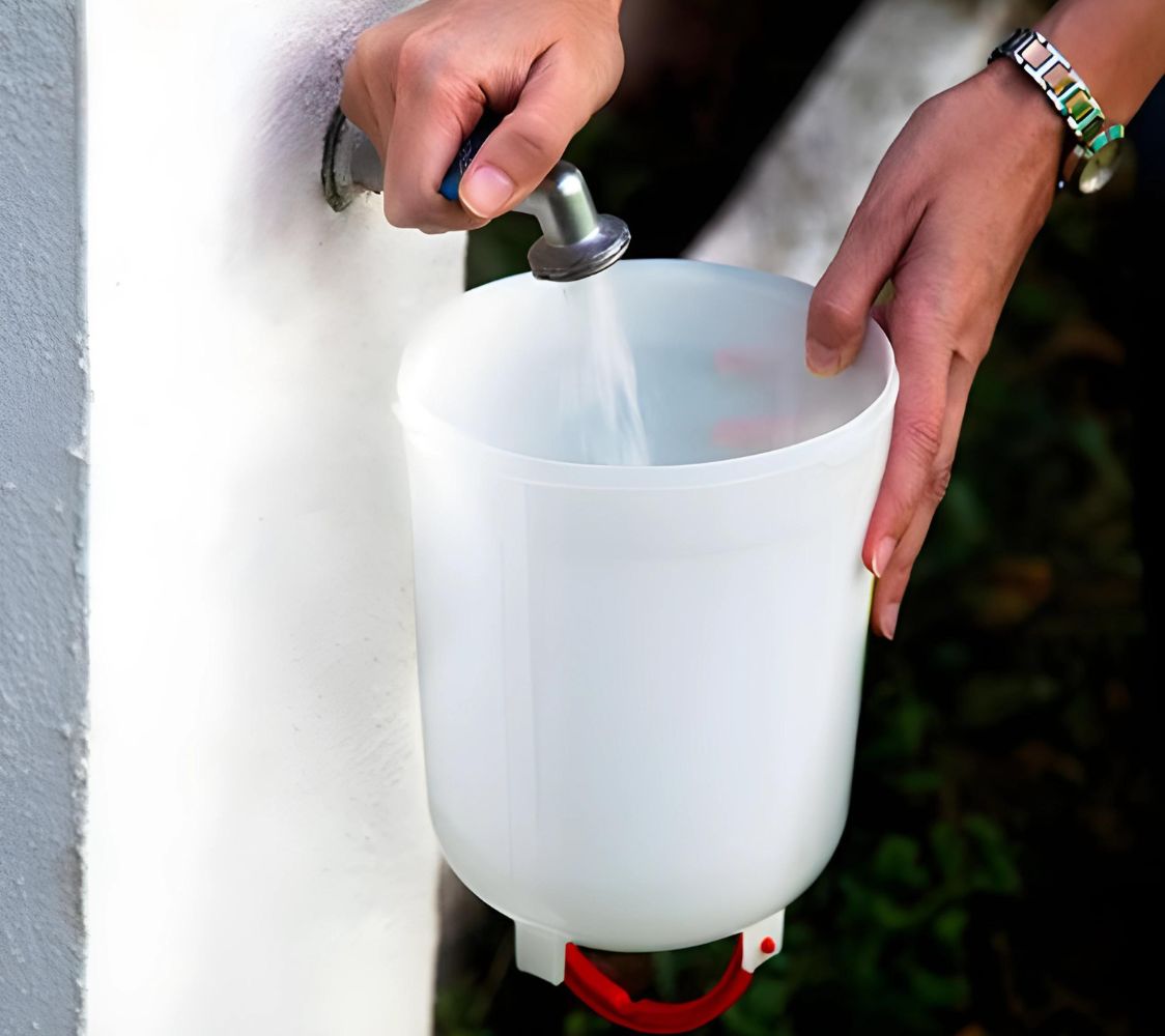 Bebedero para gallinas	