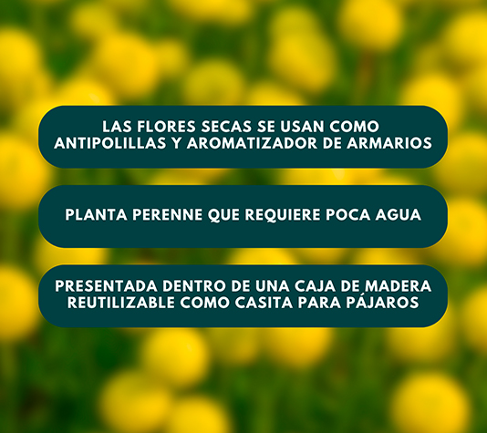 Botonera planta aromática